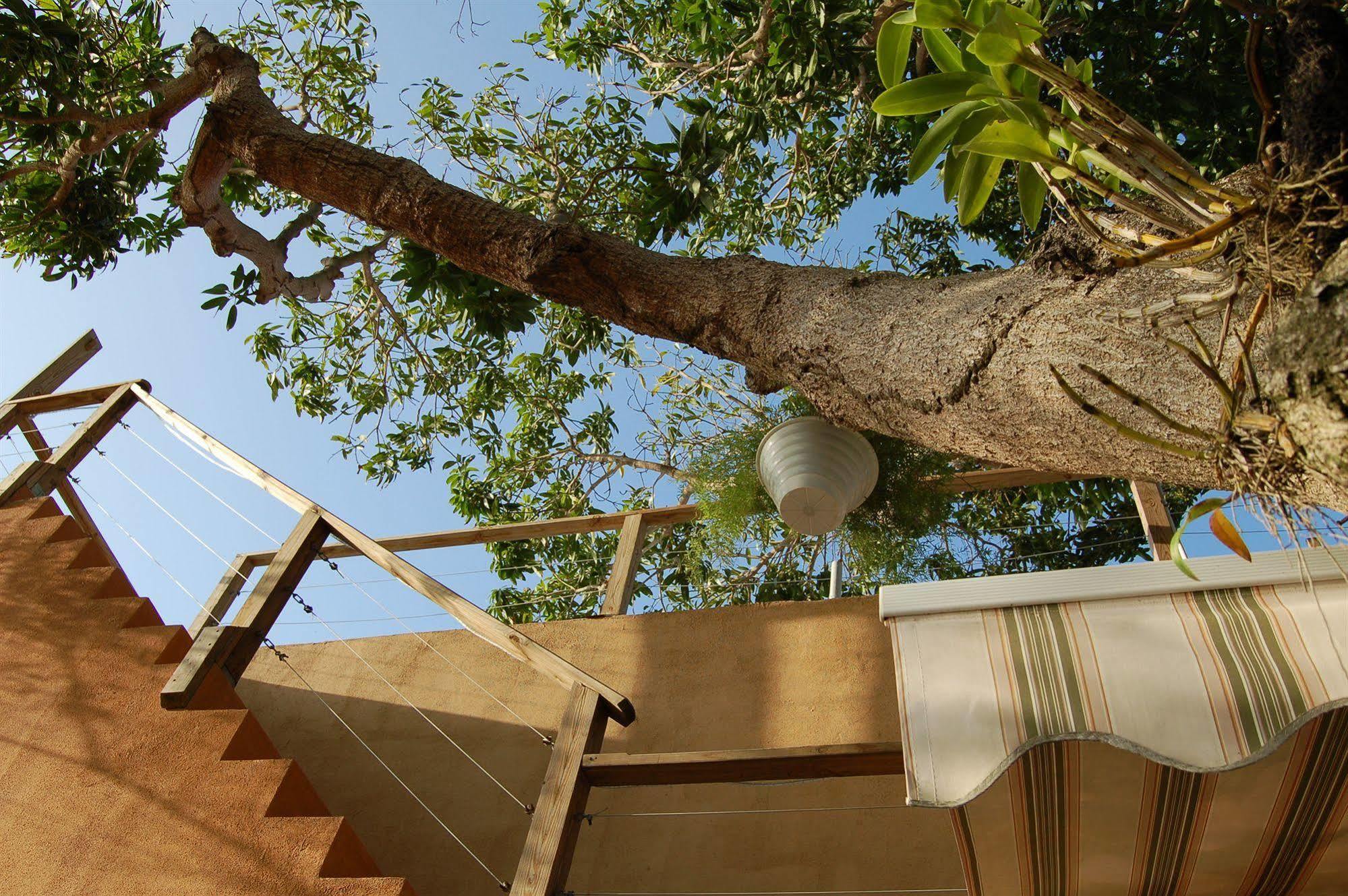 Villa Coral Guesthouse วีเอเกส ภายนอก รูปภาพ